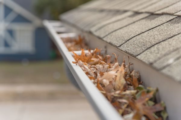 Leaf Barrier Installation in Spring Hill