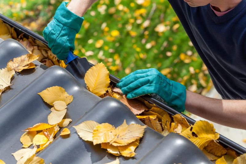 Cleaning Gutter Covers in Summer